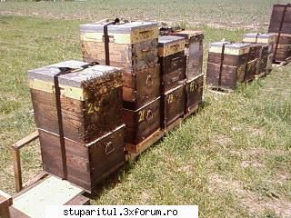 Pozele lui Bunka!! - asta e numarul 20...scrie pe el - POZE