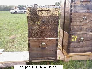Pozele lui Bunka!! - BUNKA - POZE