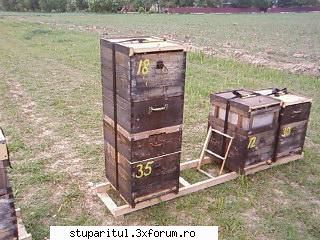 Pozele lui Bunka!! - altul dar unificat - POZE