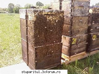 Pozele lui Bunka!! - numai nu striga...da-mi spatiu!!!!!!!!!!! - POZE