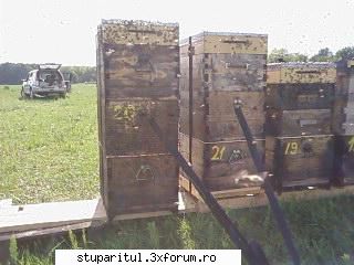 Pozele lui Bunka!! - si n-am putut sa-l refuz - POZE