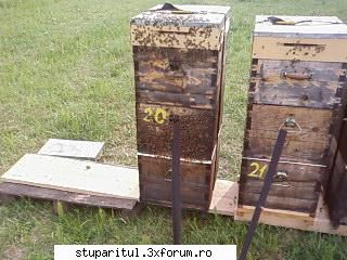 Pozele lui Bunka!! - se simte altfel - POZE