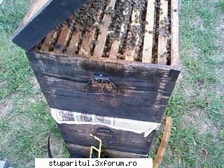 Pozele lui Bunka!! - BUNKA - POZE