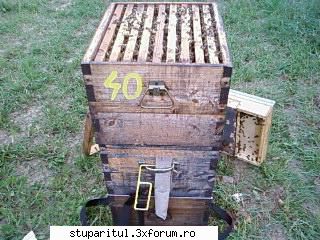 Pozele lui Bunka!! - BUNKA - POZE