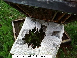 Pozele lui Bunka!! - procesul de unificare - POZE