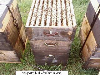 Pozele lui Bunka!! - BUNKA - POZE