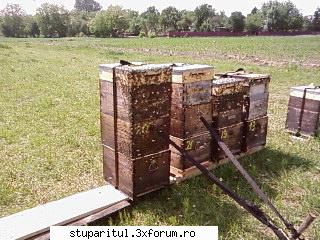 Pozele lui Bunka!! - asa arata 20 ala care cerea corpul 3 - POZE
