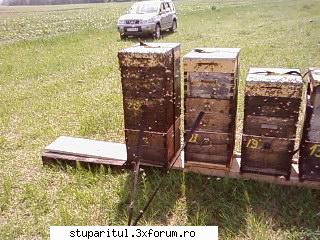 Pozele lui Bunka!! - BUNKA - POZE