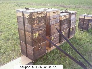 Pozele lui Bunka!! - I`M BIG Va urma - POZE