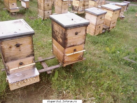 Pozele lui Bunka!! - Pusa-i odata niste iarba pe ei , in 2007 cand fu - POZE