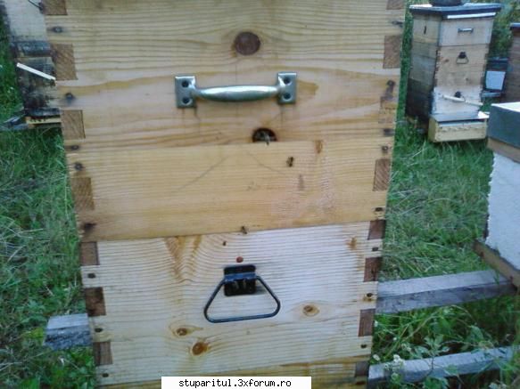 Pozele lui Bunka!! - Urdinis superior NATURAL...cazu un ciot!! - POZE