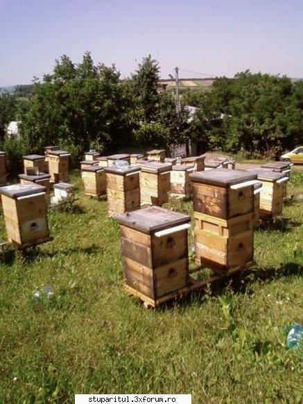 Pozele lui Bunka!! - Turnulete, turnulete ! - POZE