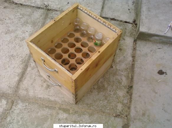 Pozele lui Bunka!! - Doua caturi pregatite pt experimentul "Faguri in - POZE