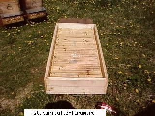 Pozele lui Bunka!! - Am elaborat un nou "bazin de innot"...are - POZE