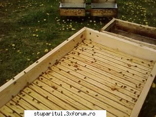 Pozele lui Bunka!! - alta...in cartea lui Lampeitl, se scria ceva de - POZE