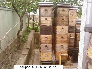 Pozele lui Bunka!! - Dupa sulfurare pun corpurile cu rame in stive de - POZE
