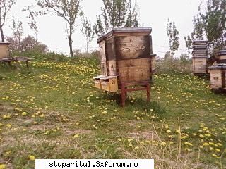 Pozele lui Bunka!! - BUNKA - POZE