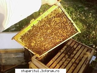 Pozele lui Bunka!! - BUNKA - POZE
