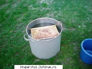 Pozele lui Bunka!! - asa spal ramele sulfurate inainte de introducerea - POZE