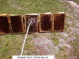 Pozele lui Bunka!! - sau asa, dar nu poti sa dai cu jetul decat pe - POZE