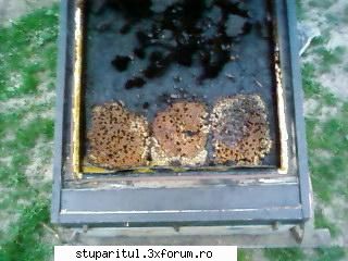 Pozele lui Bunka!! - In poza de mai sus se vede si ceara super curata - POZE