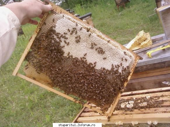 Pozele lui Bunka!! - Norocul prostului sau Dumnezeu tine cu cei - POZE