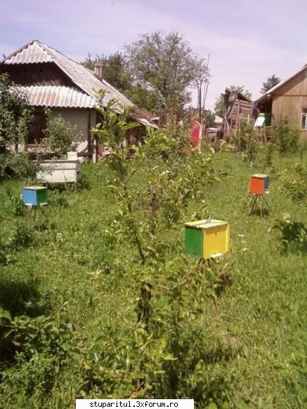 Pozele lui Bunka!! - Asta-i ultima...i-am dus la un cetatean la cativa - POZE