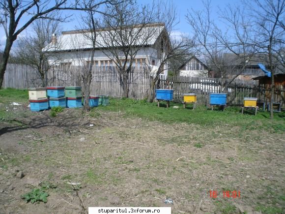 Pozele lui FreeCristian - mai intai de rapita - POZE