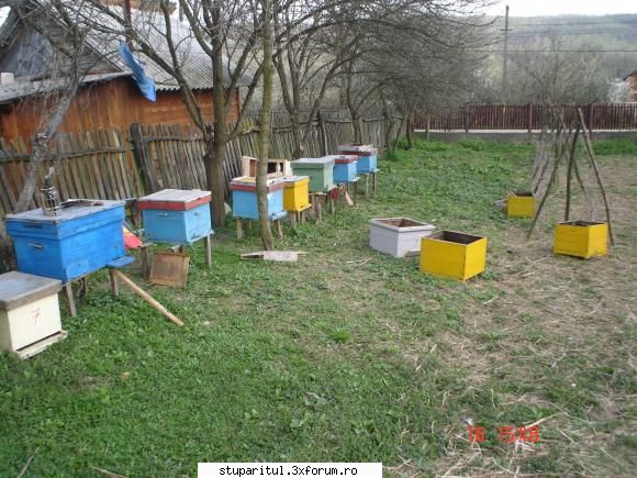 Pozele lui FreeCristian - freecristian - POZE