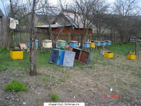 Pozele lui FreeCristian - freecristian - POZE