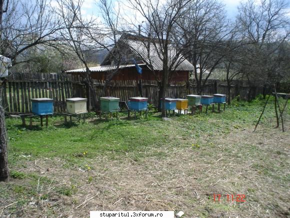 Pozele lui FreeCristian - dupa transvazarea cutiilor - POZE