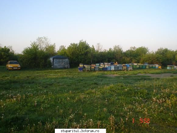 Pozele lui FreeCristian - un somn in masina chinuitor rau - POZE