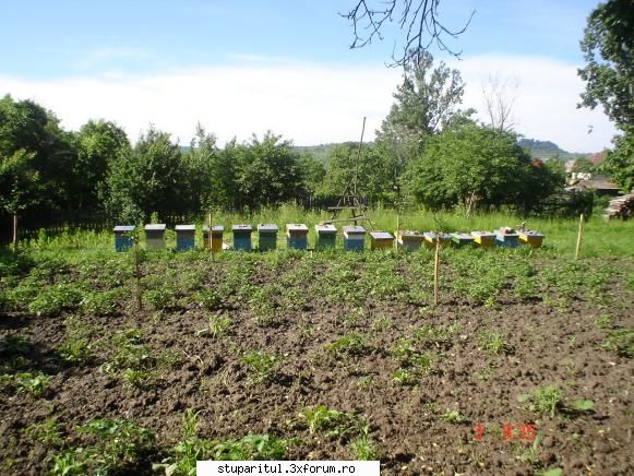 Pozele lui FreeCristian - freecristian - POZE