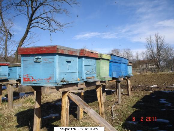Pozele lui FreeCristian - Mai punem si noi poze - POZE