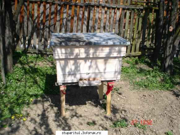 Pozele lui FreeCristian - freecristian - POZE