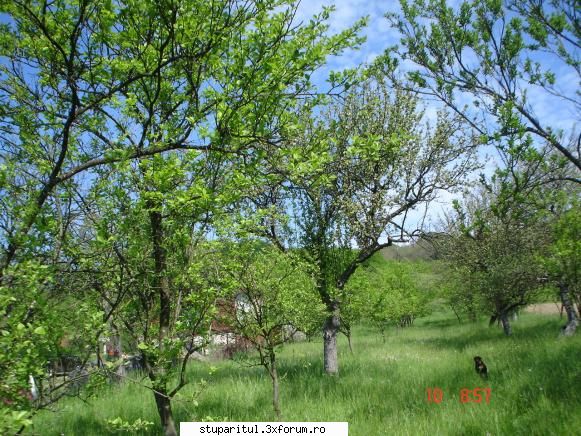 Pozele lui FreeCristian - si acum fauna locala - POZE