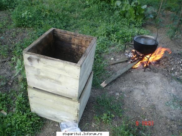 Pozele lui FreeCristian - pregatire pentru dezinfectare cu soda caustica - POZE