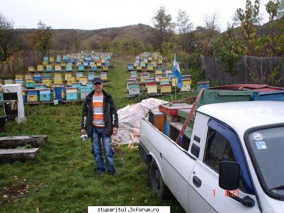 Pozele lui FreeCristian - micii mele stupine s-au mai adaugat 9 stupi pe - POZE