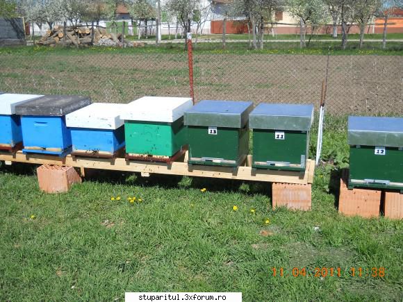 Pozele lui Lucian.Zabrani - ultimul nu a avut loc decat separat - POZE