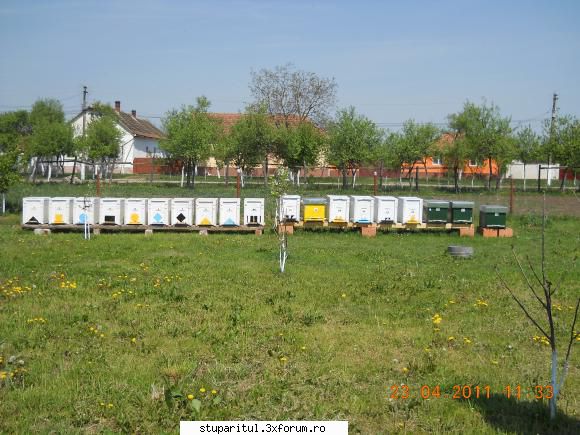Pozele lui Lucian.Zabrani - suntem la rapita - POZE