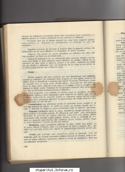 Prigoriile - Manualul apicultorului editia a VI -a din 1986 - BOLI SI DAUNATORI - TRATAMENTE