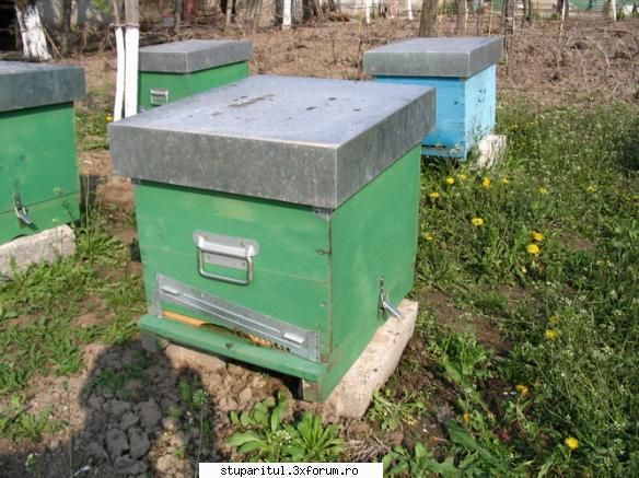 Produsele Complexului Apicol - parerea mea sincera (cer iertare lui Pab - ASOCIATIA CRESCATORILOR DE ALBINE