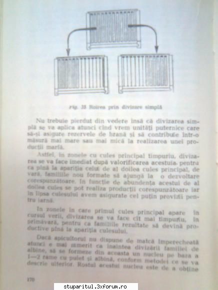 Pt. mai-iunie.....ROIREA ARTIFICIALA - andrei_salaj - PAGINA APICULTORULUI INCEPATOR