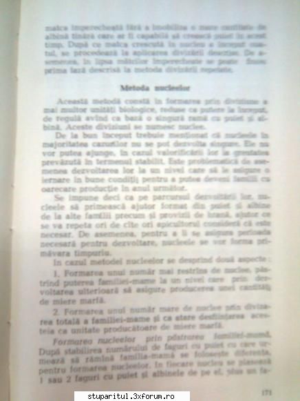 Pt. mai-iunie.....ROIREA ARTIFICIALA - andrei_salaj - PAGINA APICULTORULUI INCEPATOR