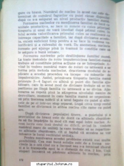 Pt. mai-iunie.....ROIREA ARTIFICIALA - andrei_salaj - PAGINA APICULTORULUI INCEPATOR