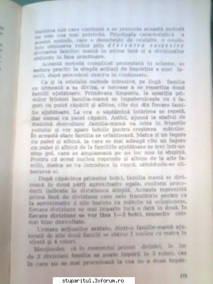 Pt. mai-iunie.....ROIREA ARTIFICIALA - andrei_salaj - PAGINA APICULTORULUI INCEPATOR