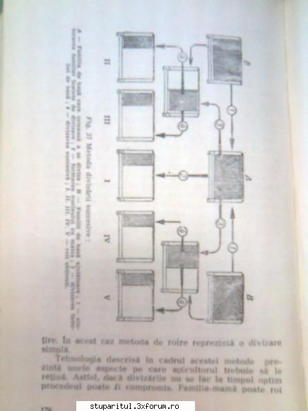 Pt. mai-iunie.....ROIREA ARTIFICIALA - andrei_salaj - PAGINA APICULTORULUI INCEPATOR