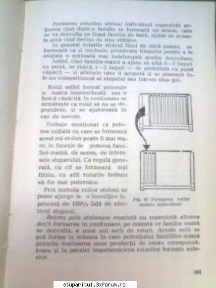 Pt. mai-iunie.....ROIREA ARTIFICIALA - andrei_salaj - PAGINA APICULTORULUI INCEPATOR