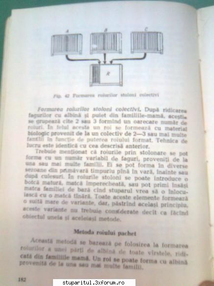 Pt. mai-iunie.....ROIREA ARTIFICIALA - andrei_salaj - PAGINA APICULTORULUI INCEPATOR