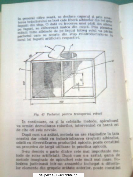 Pt. mai-iunie.....ROIREA ARTIFICIALA - andrei_salaj - PAGINA APICULTORULUI INCEPATOR